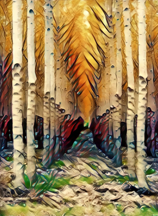 Aspen Grove