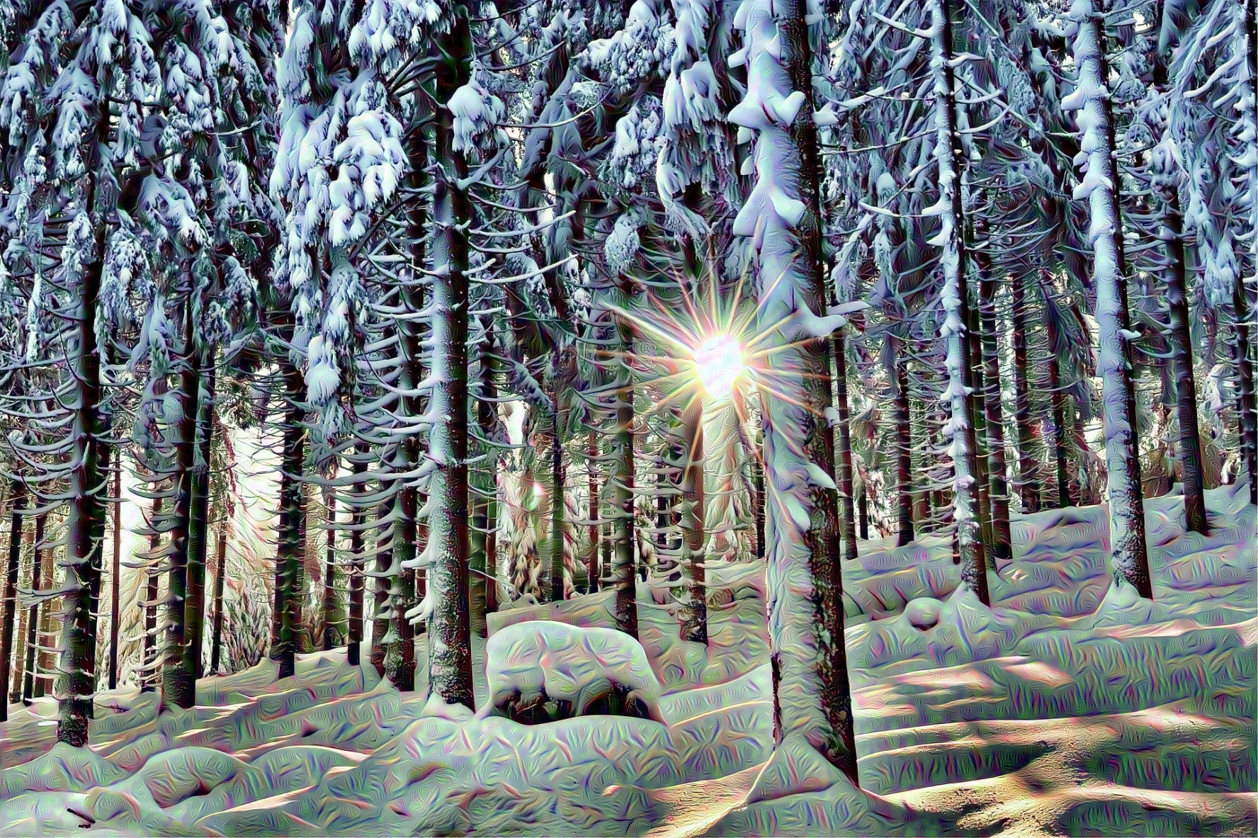 Forest, Snow and the Sun