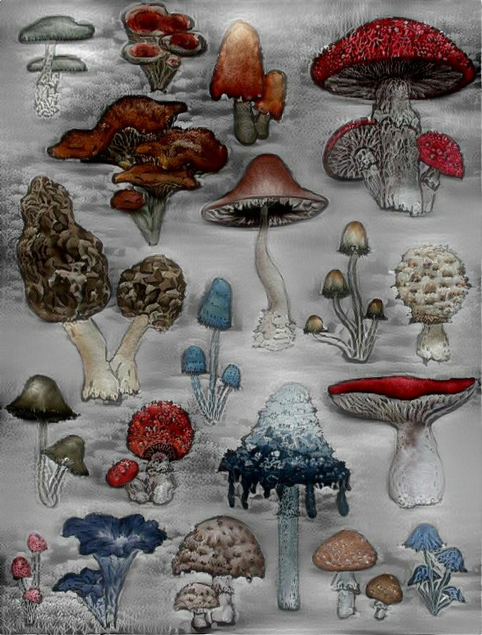 Mushrooms