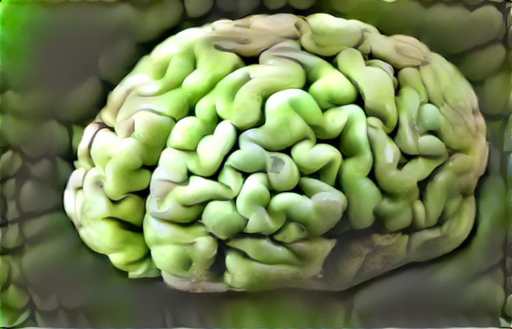 Bean Brain