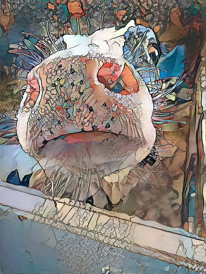 Cow deep dream 3