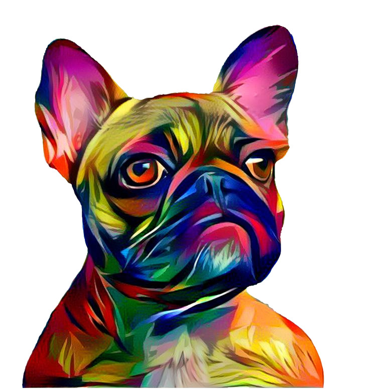 French bulldog colorful