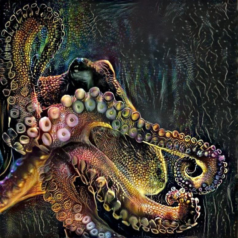 Octopus