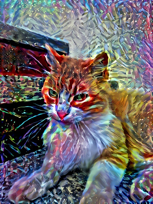 Tripping on catnip