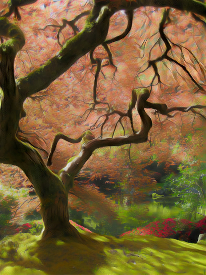 Portland_Japanese_Garden_maple