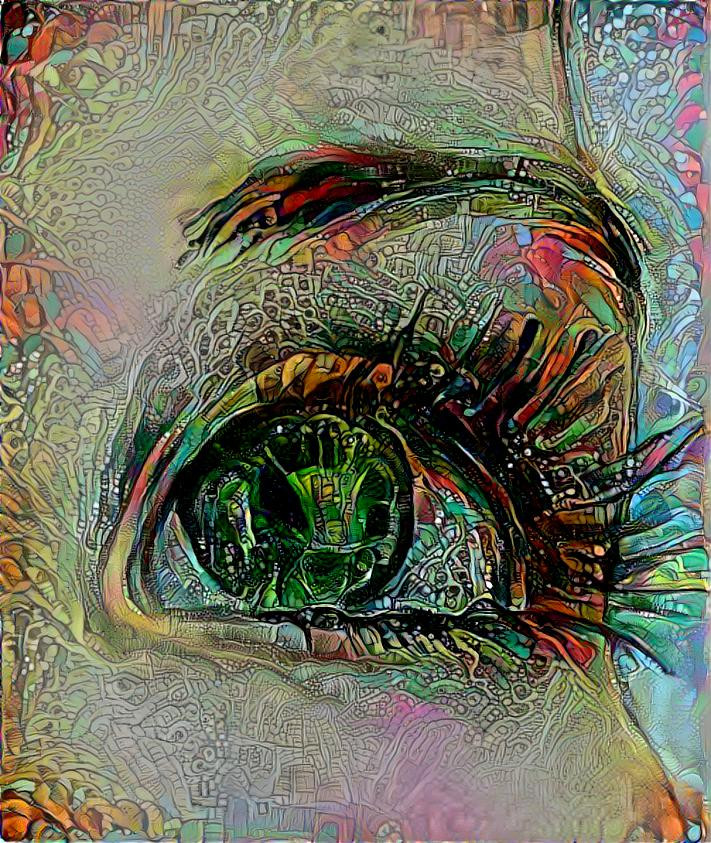 The Eye