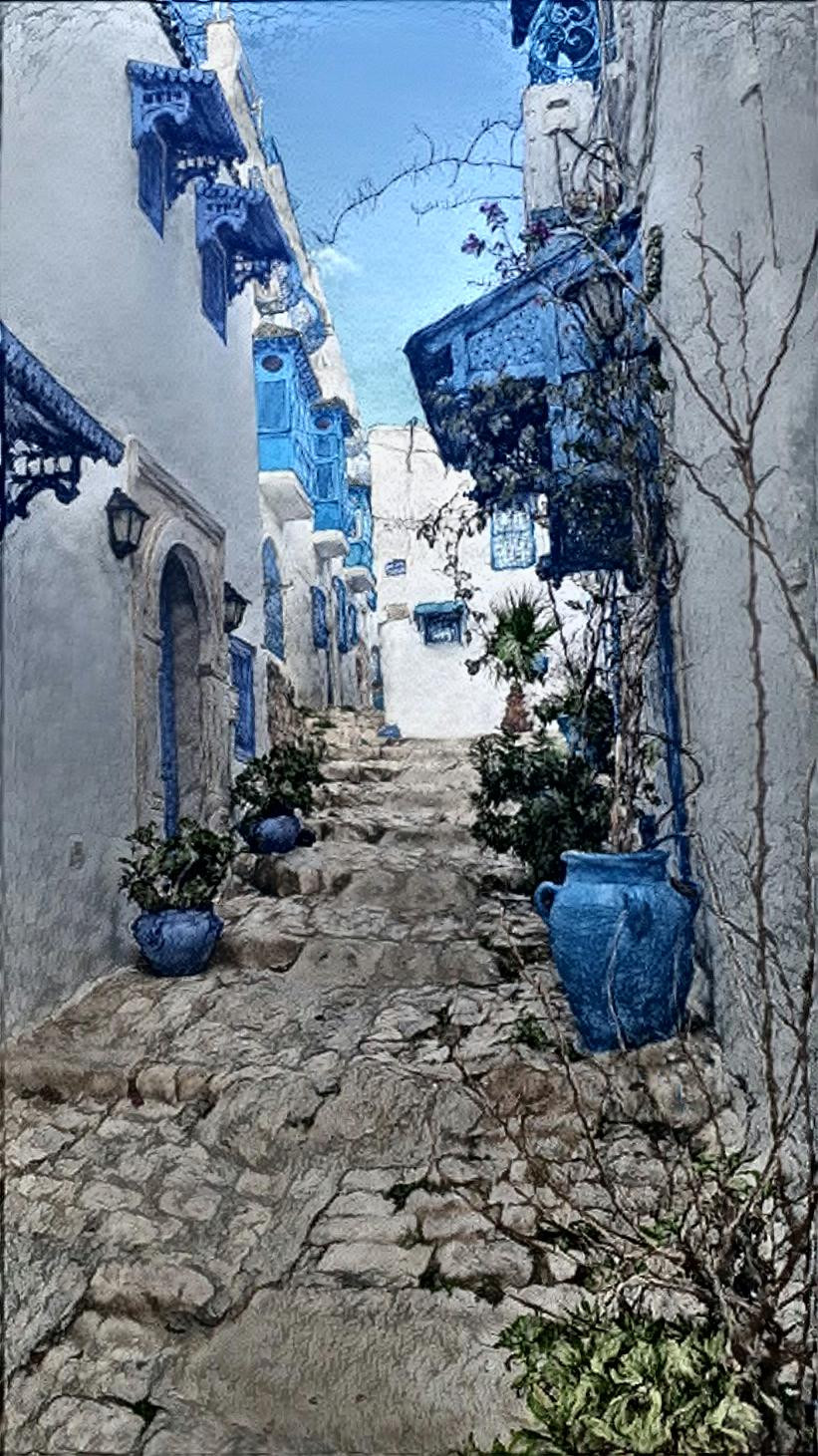 Winter in Sidi Bou Saïdby Tyna