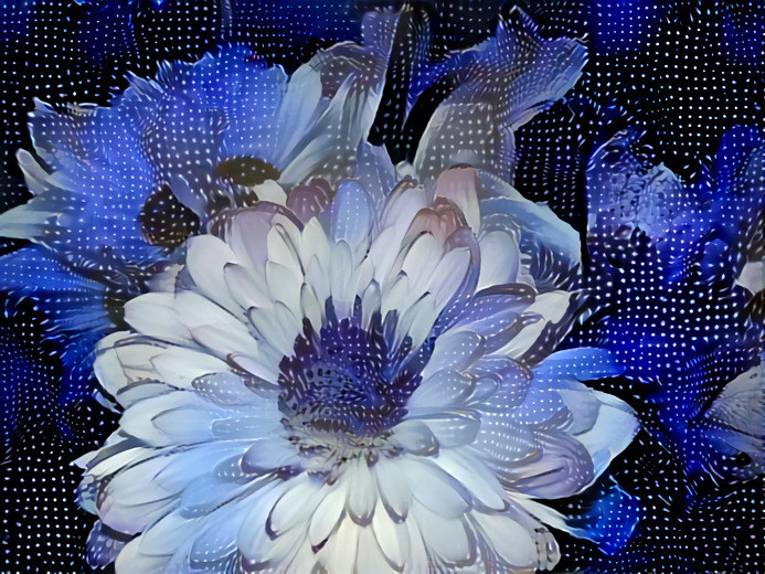 Blue Flower Dream