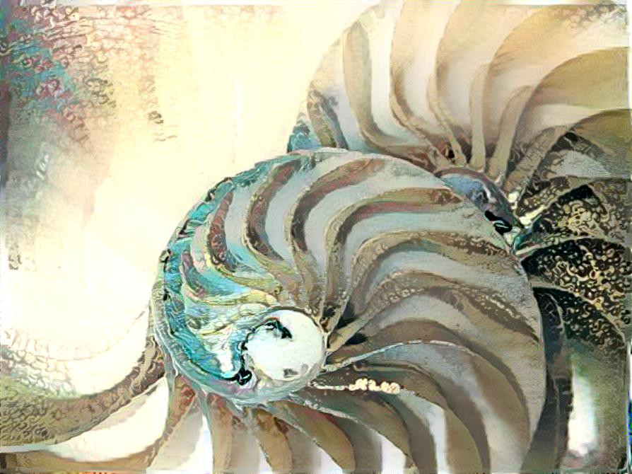 Nautilus