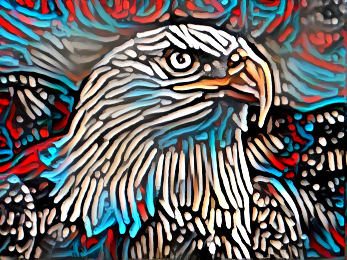 Bald Eagle