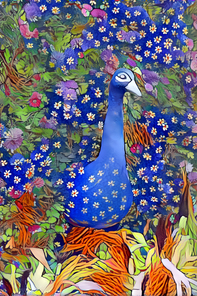 Floral Peacock