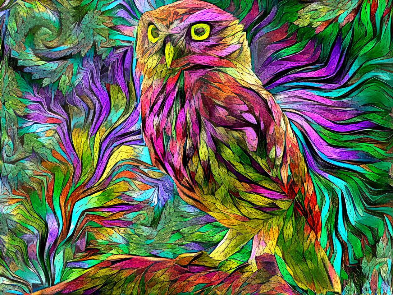 Colorful Owl