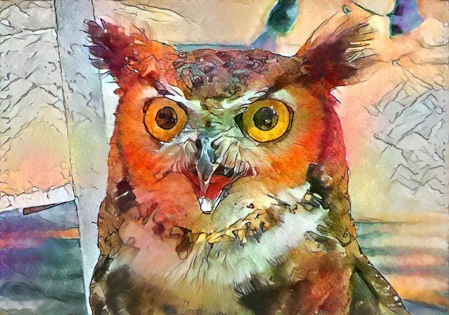 Wise, Bright Eye Owl