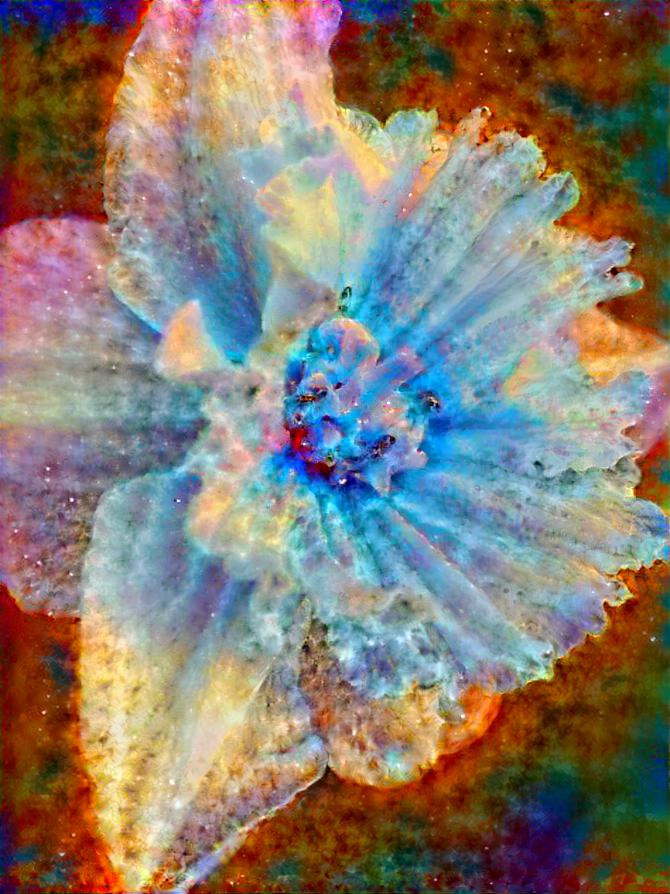 cosmic flower