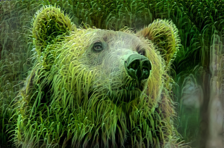 Grassbear 2