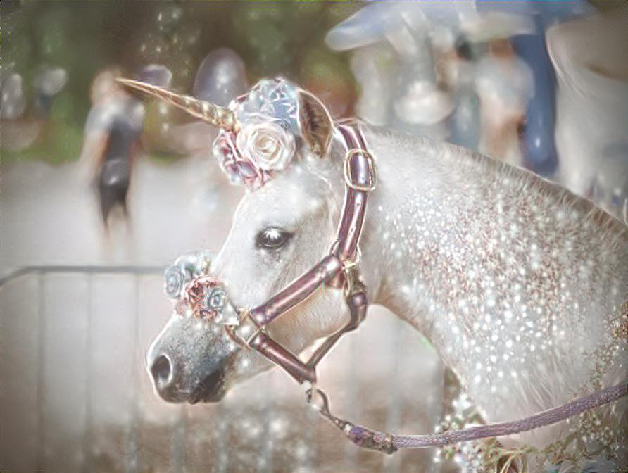 Unicorn Welsh Pony Sir Bingley