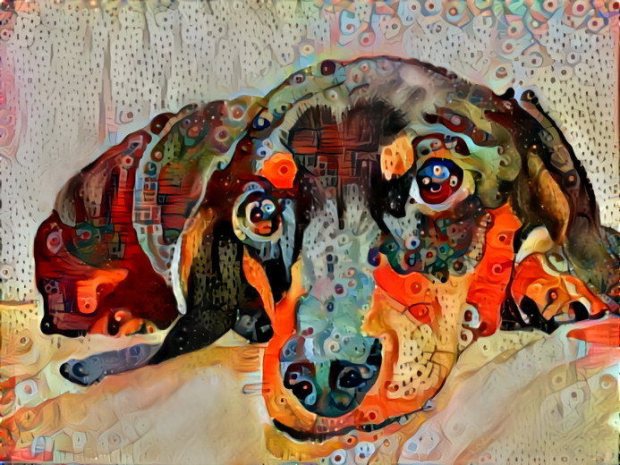 Daydream Doxie