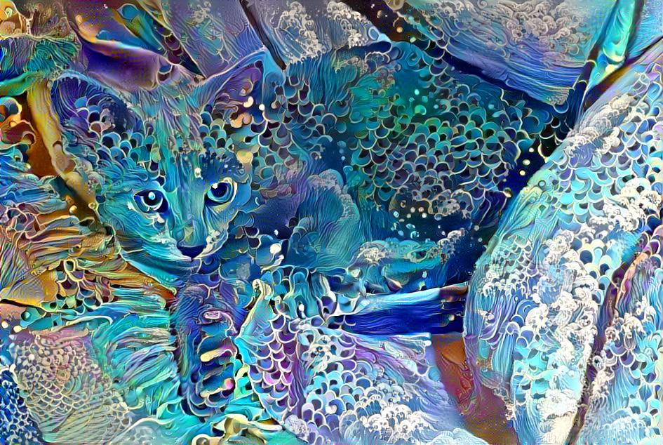 Fish Kitty