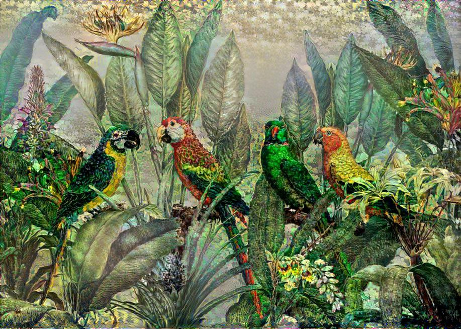 Parrots in Paradise