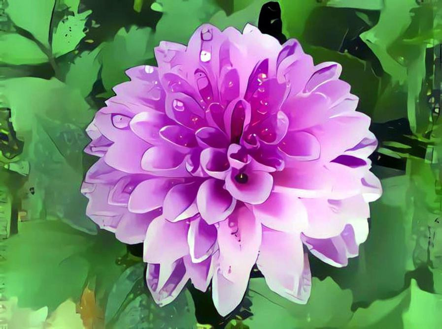 Purple Flower