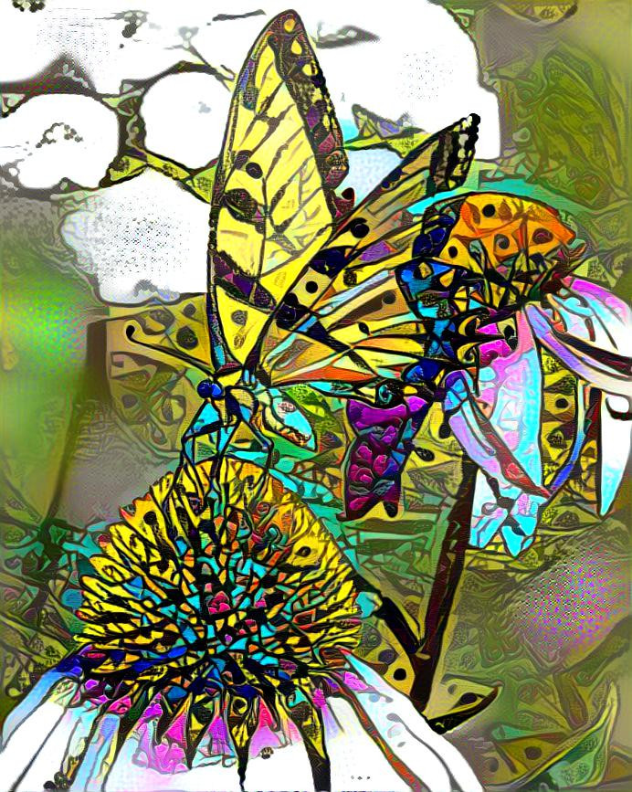 butterfly coneflower