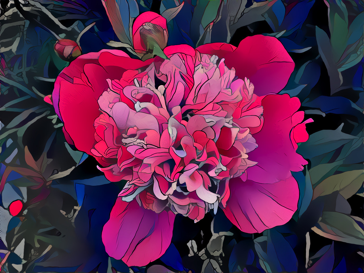 Peony 6 floral-pattern-background-1380