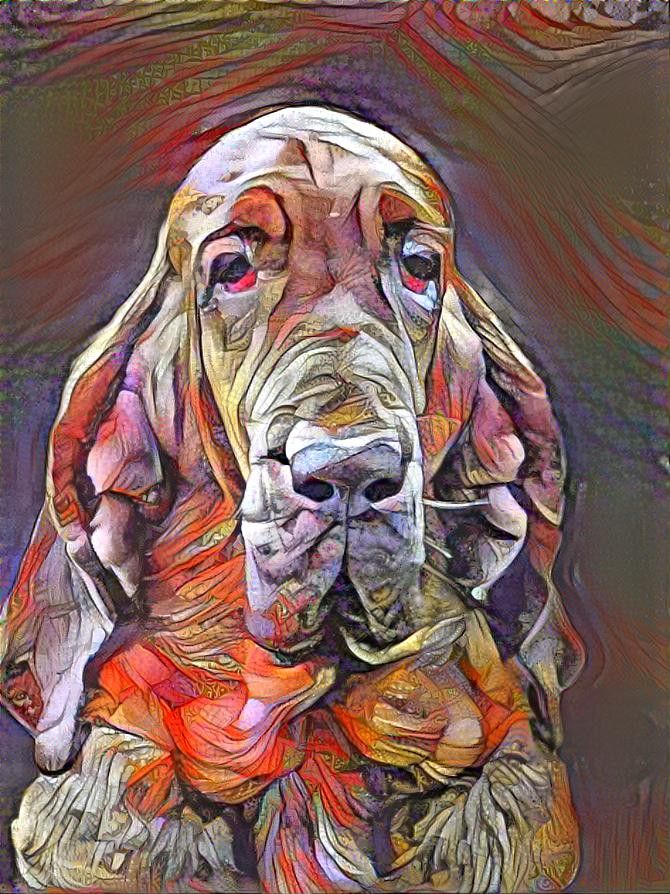 My bloodhound girl Klara