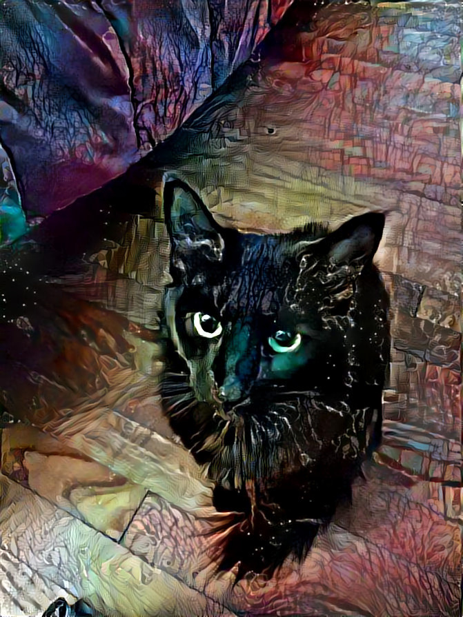 She never speaks, but I hear her words. Her eyes whisper to my soul ~Tricia~ Our majestic Manders kitty asking me to play. Style is one I made.