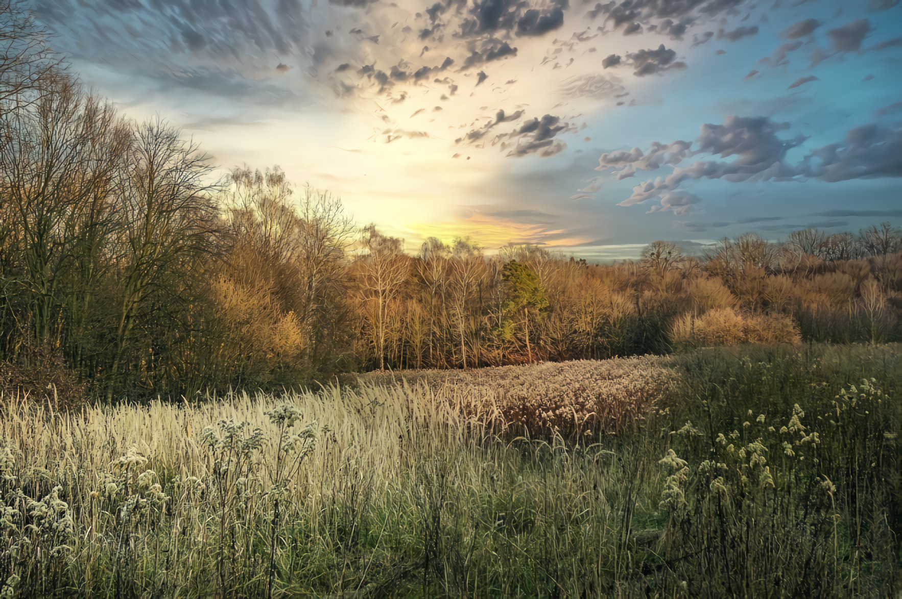 Sunset, Forest, Grass Field