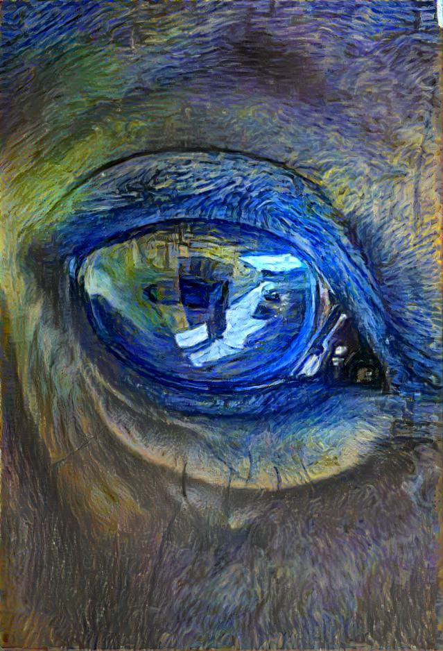 Eye