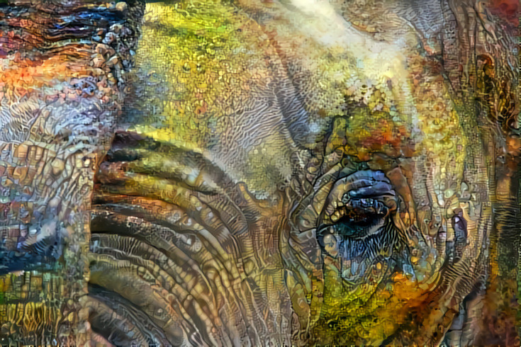 Colorful Elephant