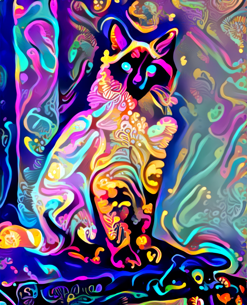 neon cat 3