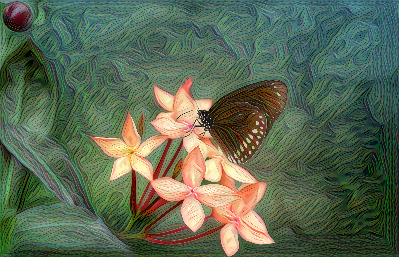 Butterfly, Flowers