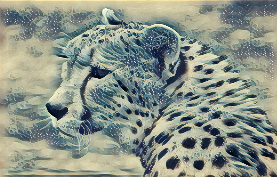 Cheetah