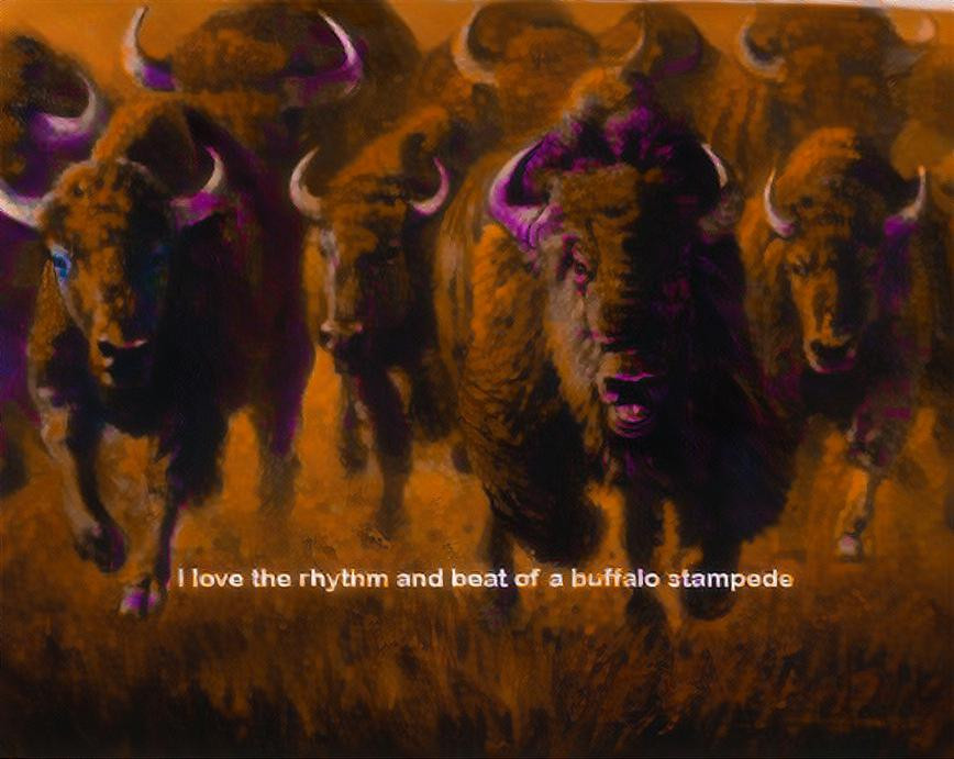 Stampede