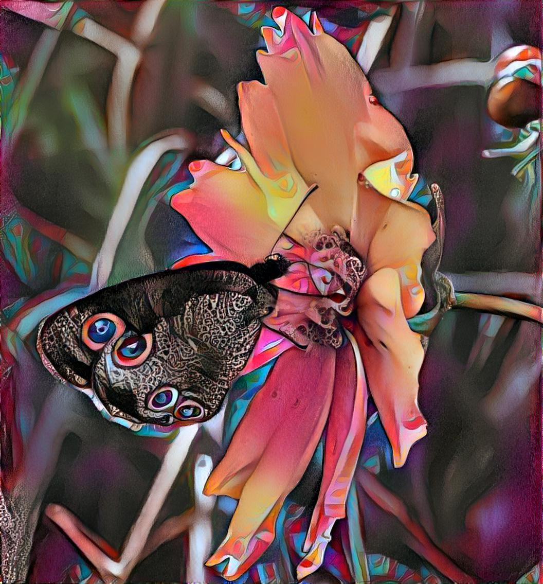 Butterfly and flower