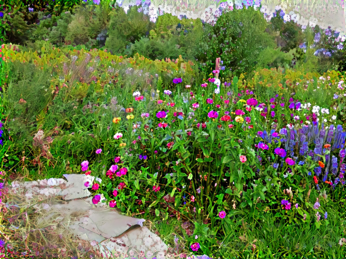 Wildflowers