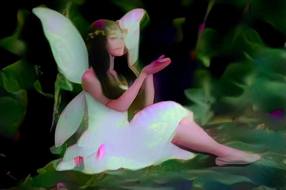 Fairy