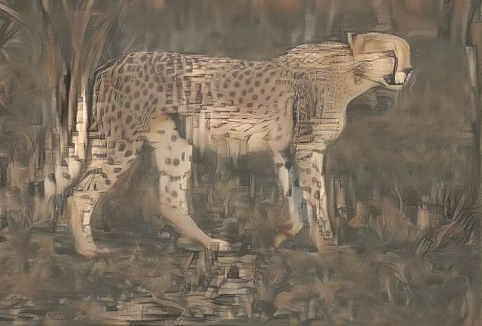 Cheetah