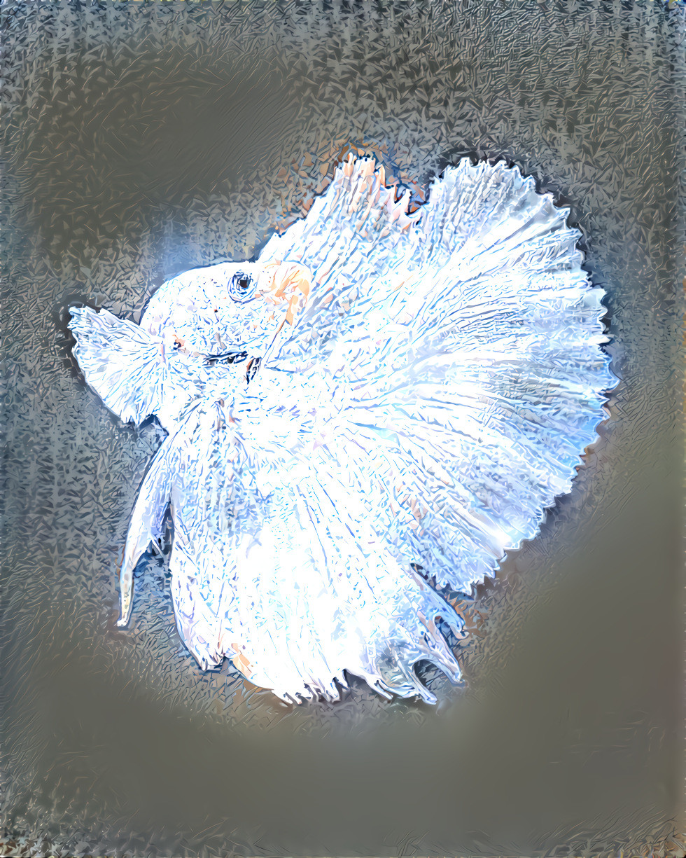 Diamond Betta