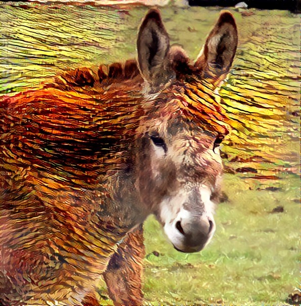 Donkey Dream 2