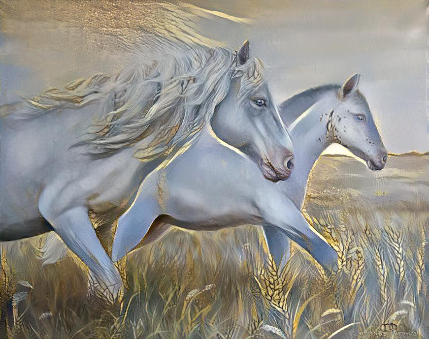 Horses in the field