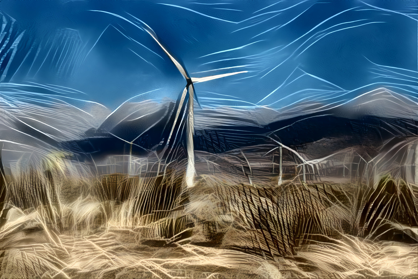 'The Wind Farm'