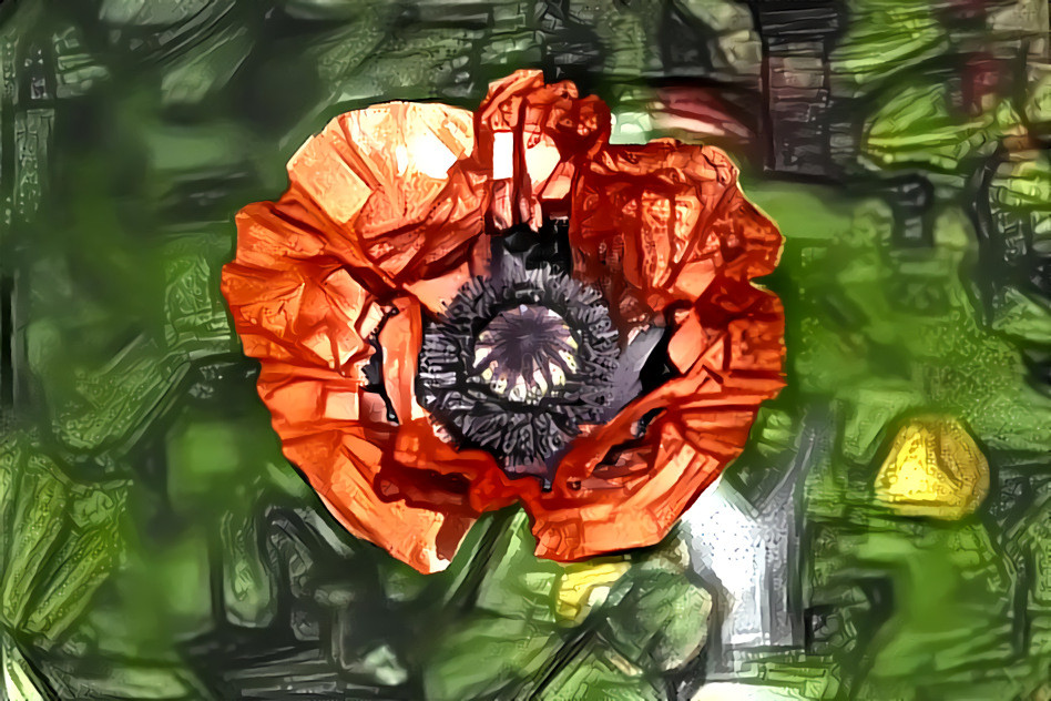 Stained Glass Poppy