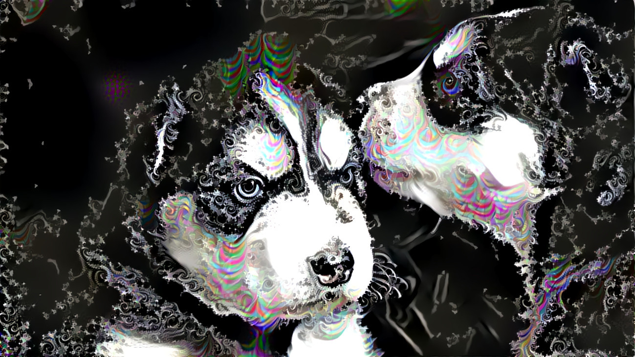 Dog-wallpaper-38 frax 338