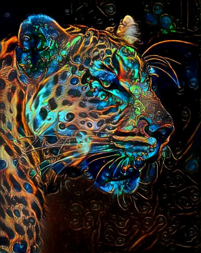 Cheetah