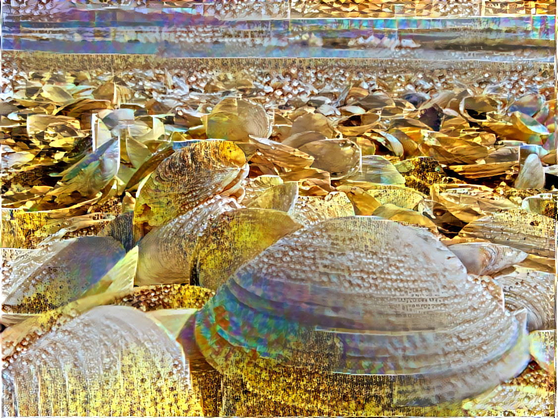 Clams 1 collage 14