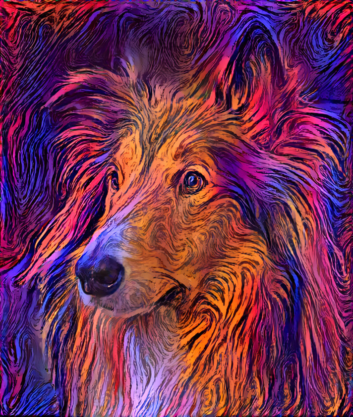 Colorful Shetland Sheepdog