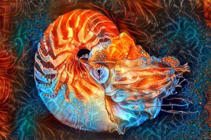 Sprite Nautilus 2, red/blue