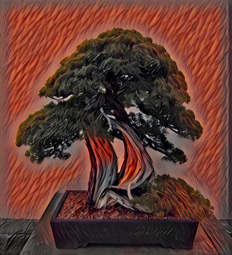 Bonsai